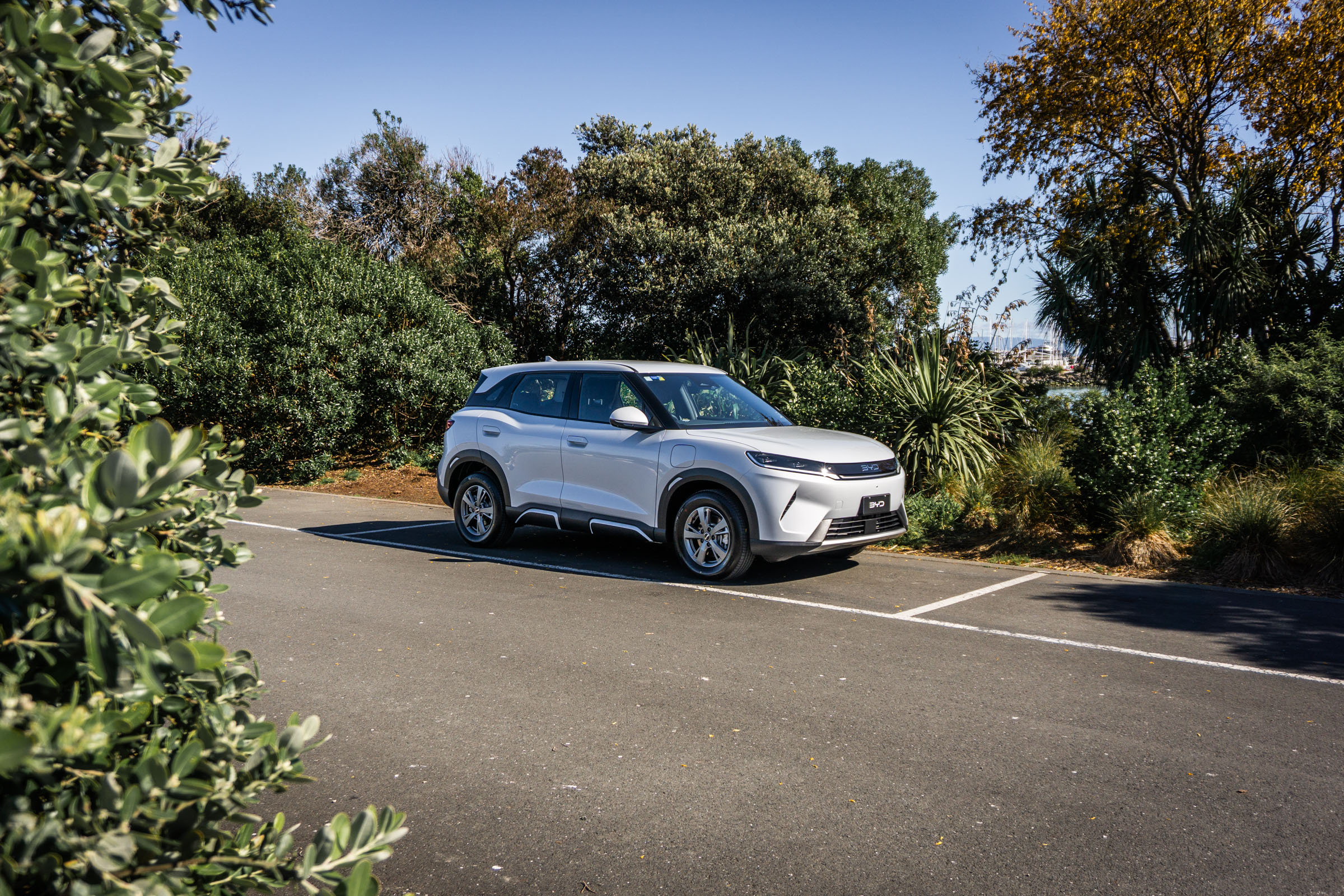 BYD Atto 2 DM-i parked near bushes in Nelson, NZ.